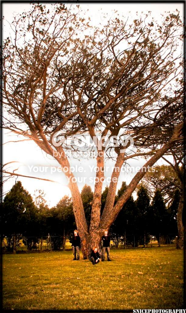 SteveTreecopy.jpg