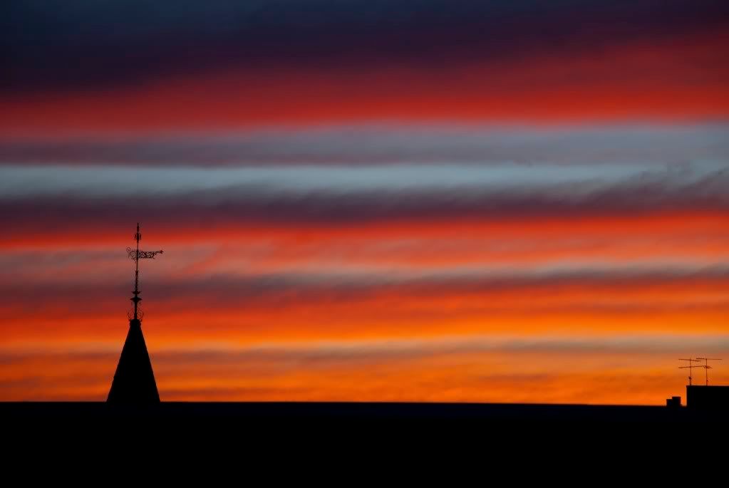 DSC_0168.jpg