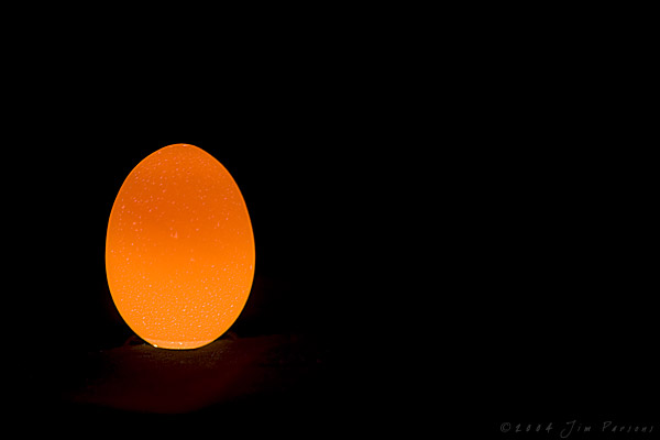 egg03.jpg