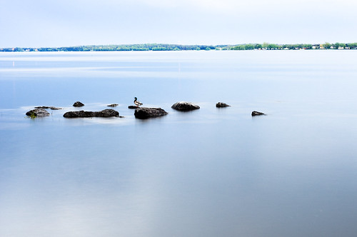 3514008943_ff89118a01.jpg