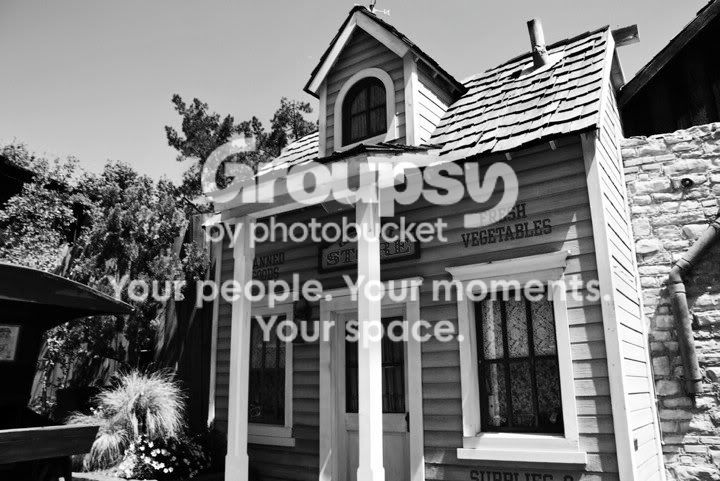 30871_10150162454810244_543495243_1.jpg