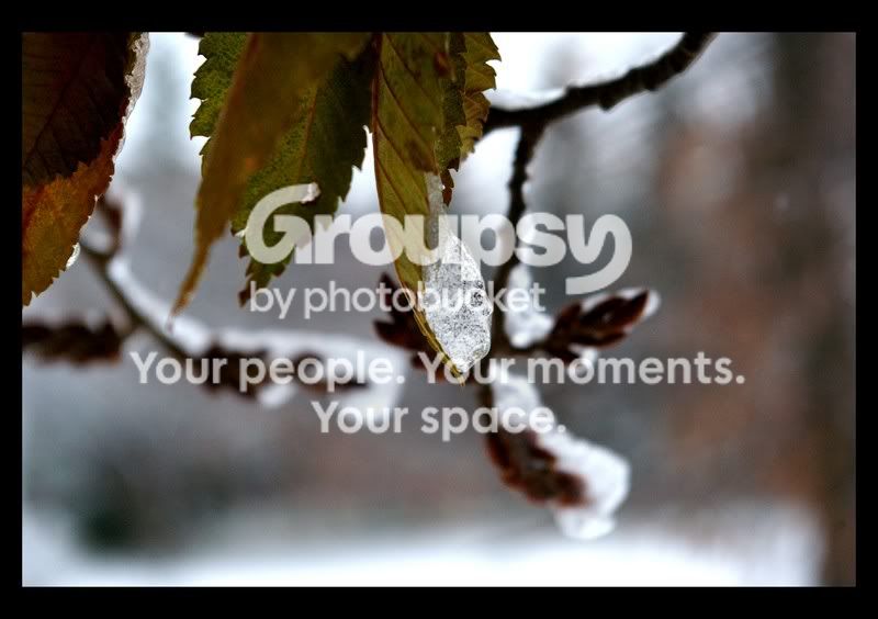 volleyballandfirstsnow003.jpg