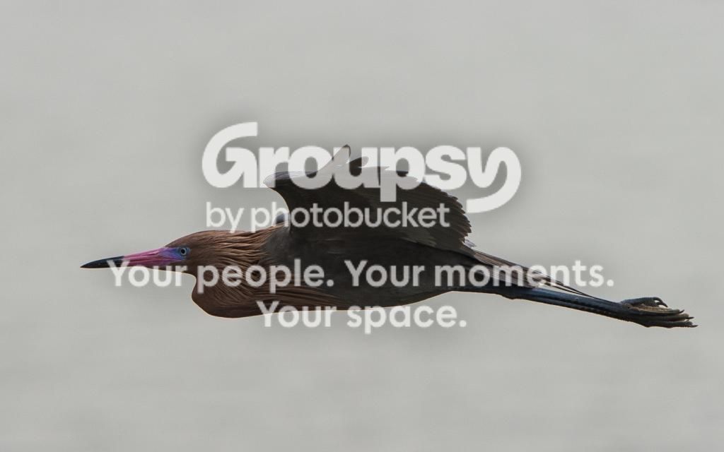 image_zps5b64c09f.jpg