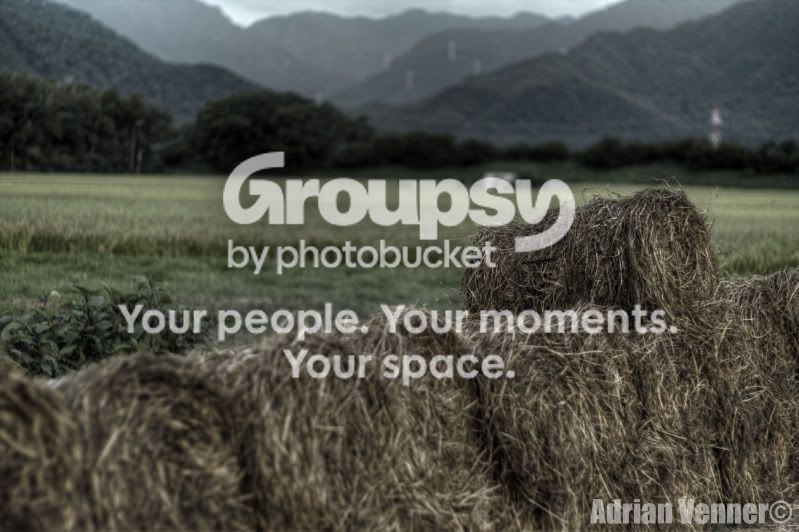 haybales.jpg