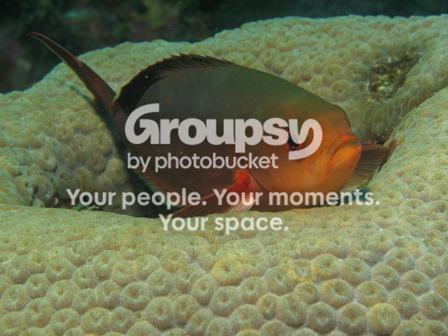 Bonaire_2010A089.jpg