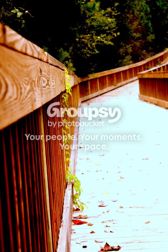 bridge2.jpg