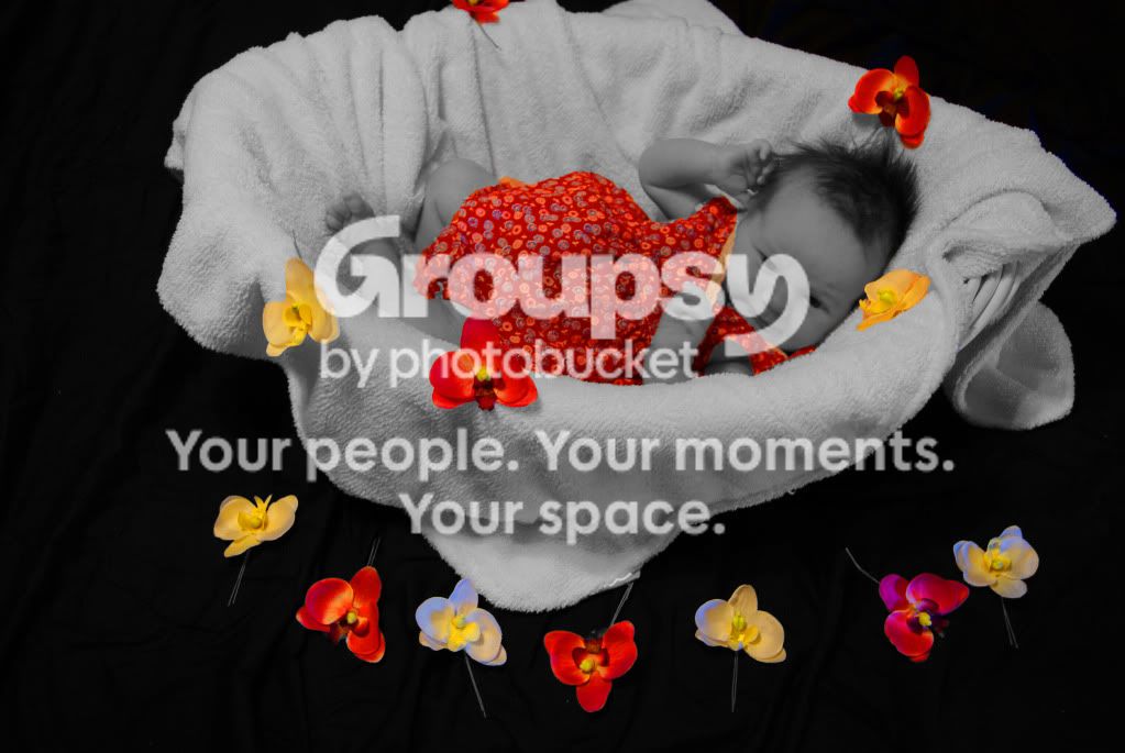 Lilyinbasket.jpg