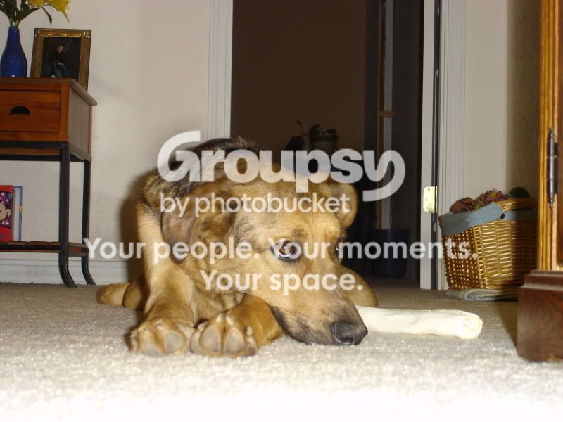 DSC00008.jpg