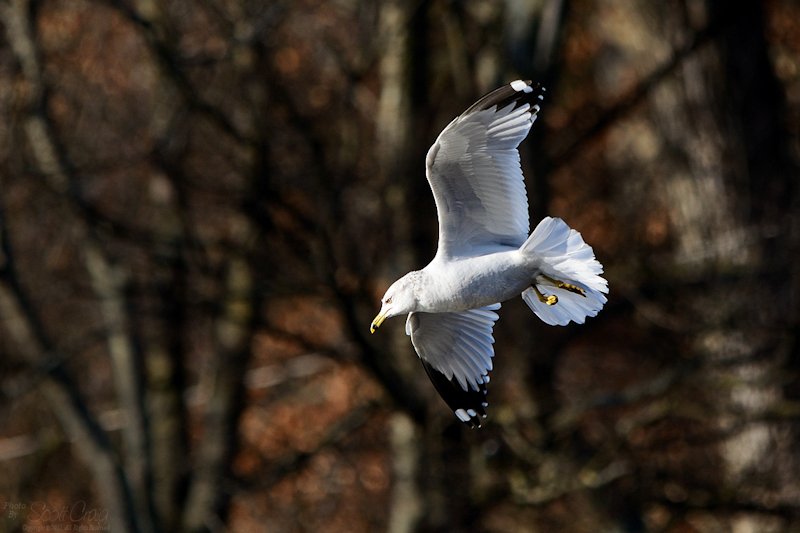 2012-12-30-01b.jpg