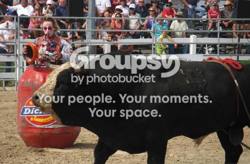 shortyandbullweb.jpg
