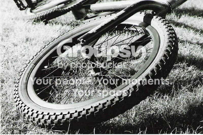 bikewheel.jpg
