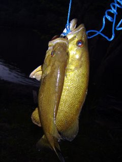fish13.jpg