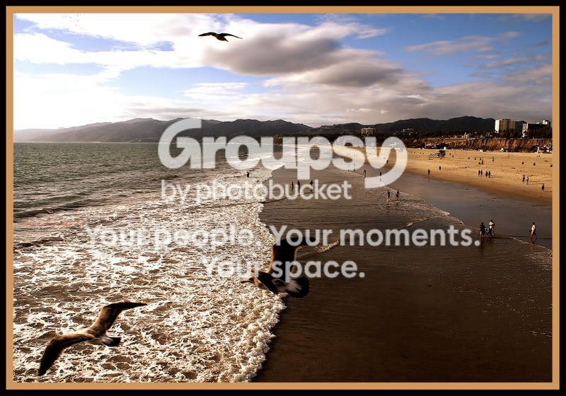 birdsbeachframed.jpg