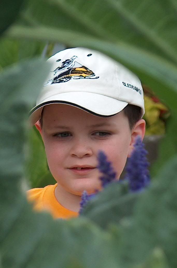 Mikeyplantscropped.jpg