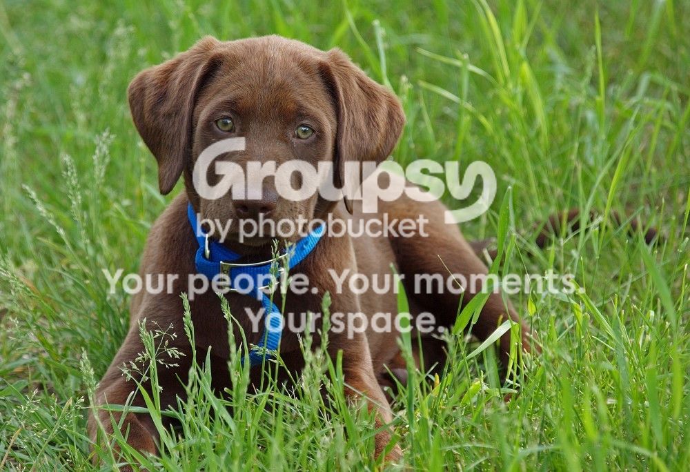 RubysfirstdayCustom_zps5cea9f0f.jpg