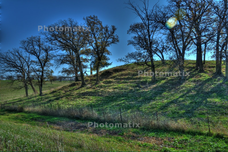pasture_1024.jpg