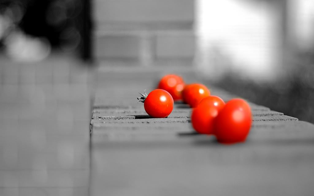 Tomato.jpg