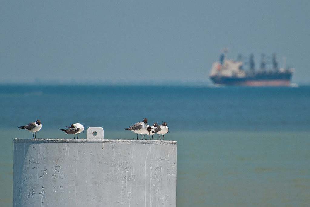 DSC_2164-XL.jpg
