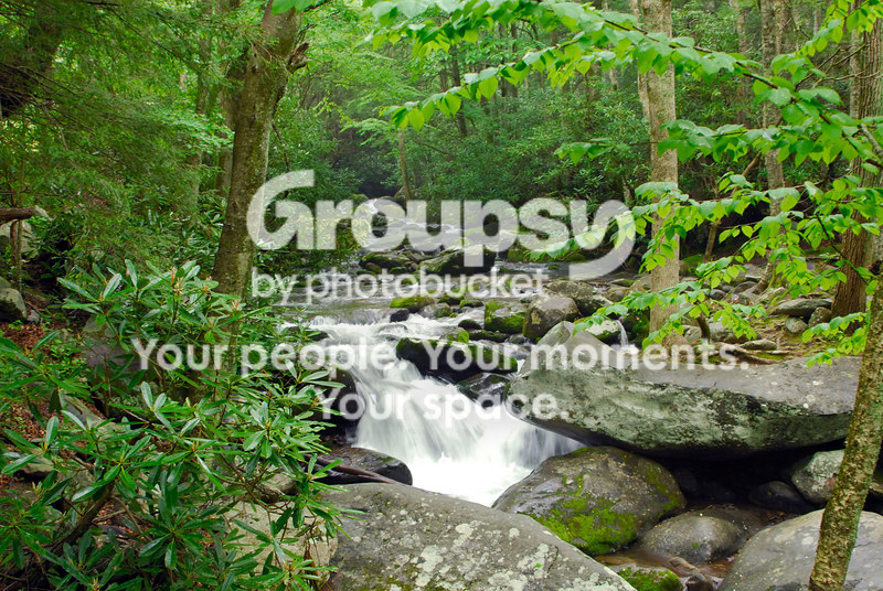 forestedit.png