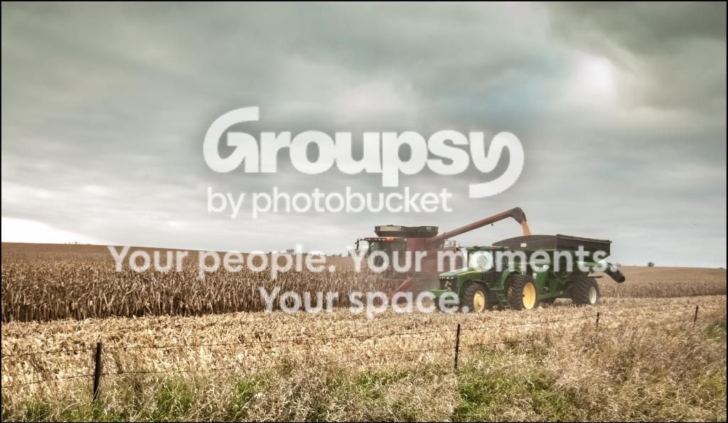 2014CornHarvest.jpg
