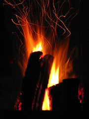1325931589_4ffdbe3f4c_m.jpg