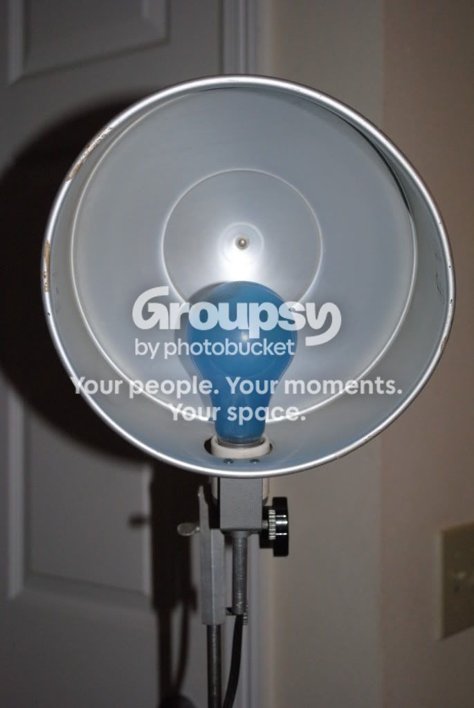 Lights001.jpg