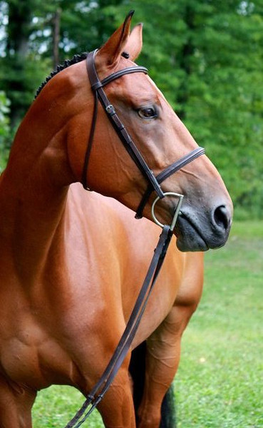 i-rH4rWtN-L.jpg