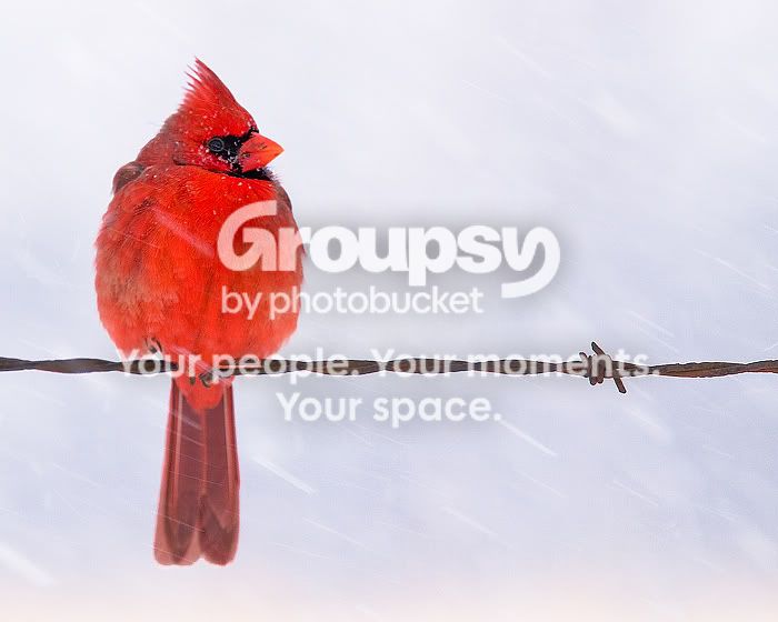 300dpi.jpg