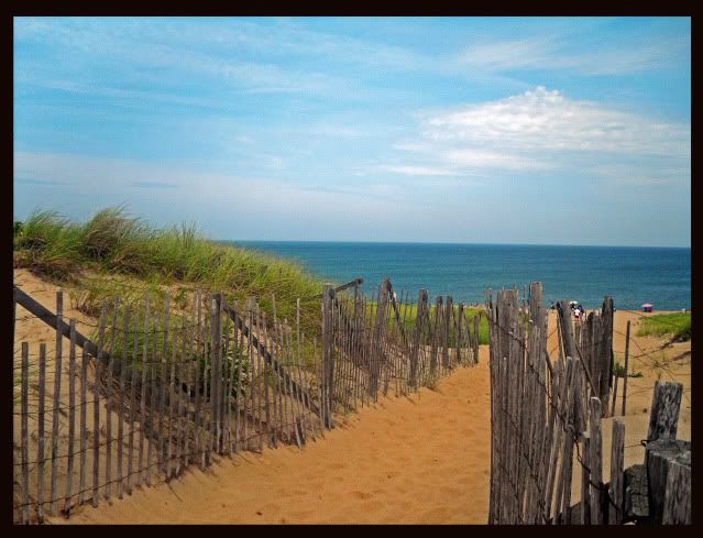 CapeCodBeach_edited-1.jpg