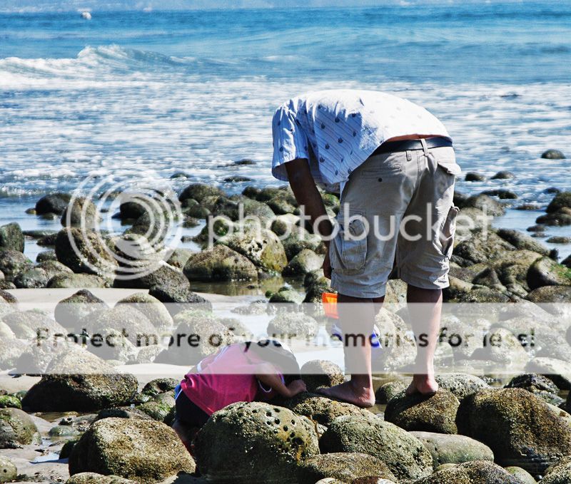 Malibu2010K20DwithTamron28-75F2820.jpg