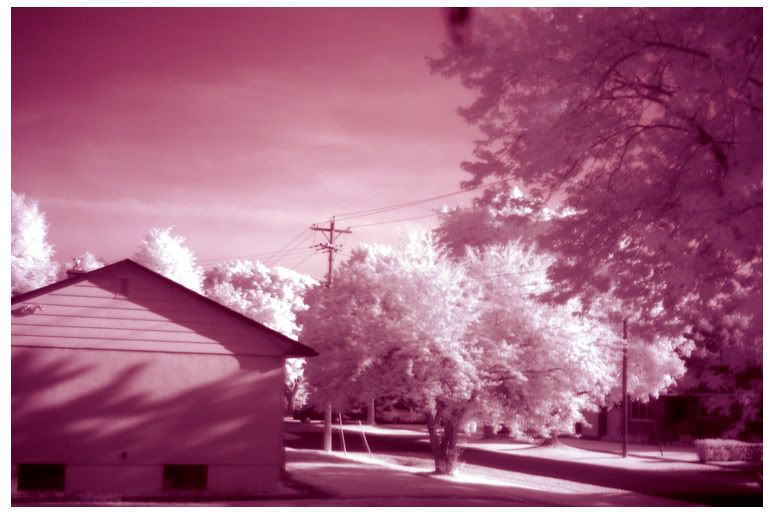 Picture-199.jpg