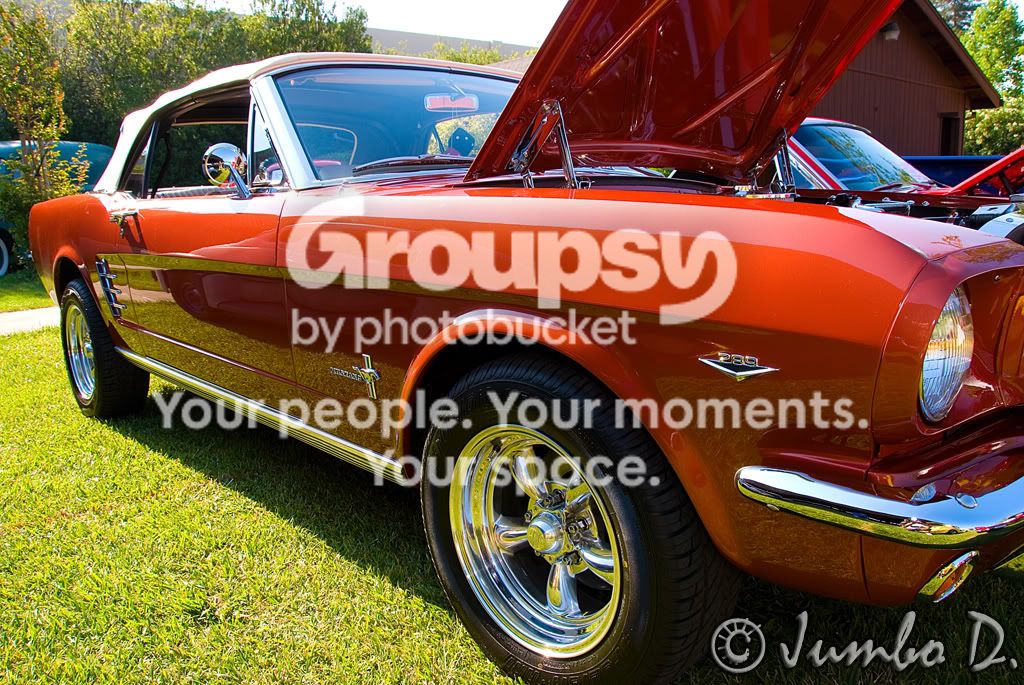DSC_5553proccesedcopycopy.jpg