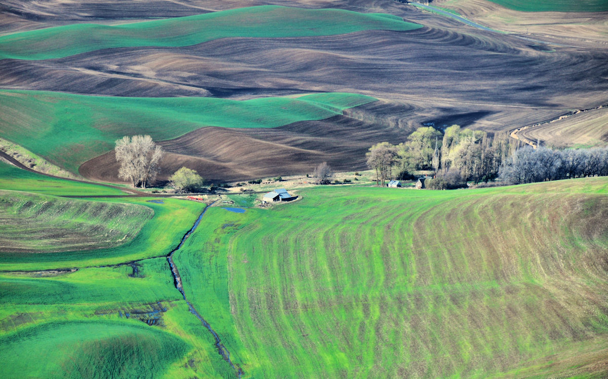 20130409_234s-1.jpg