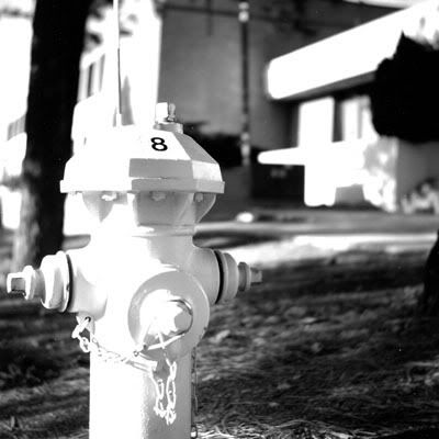 FireHydrant-RicohFlex.jpg