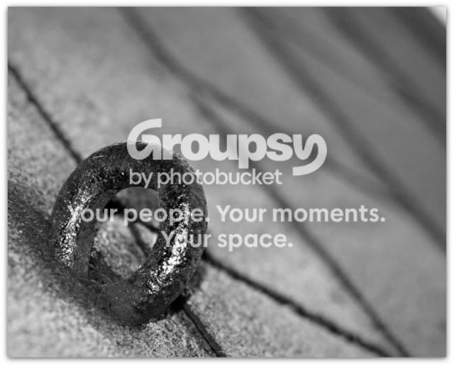 blackandwhite031.jpg