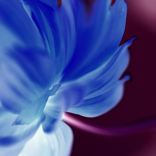 5385629187_30701d1909.jpg