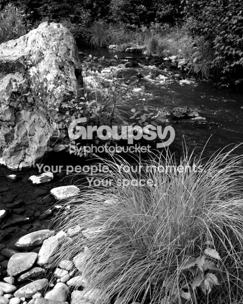 bwriver1jpgshare.jpg