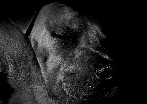 10830304514_a24ab50263.jpg