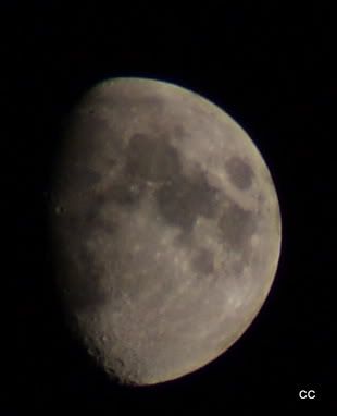 DSC00657.jpg