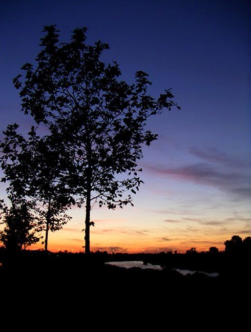 TreeSunsetGaronne.jpg