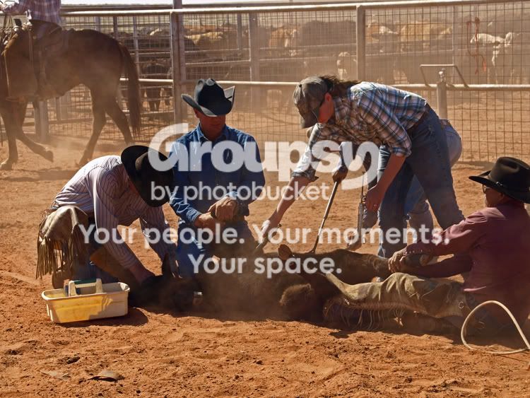 Branding-at-North-Camp-017c.jpg