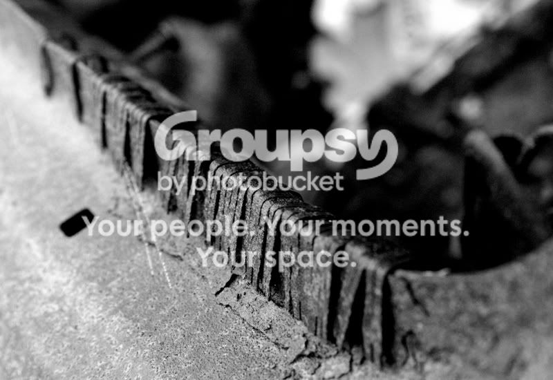 resizeIMG_3851bw.jpg