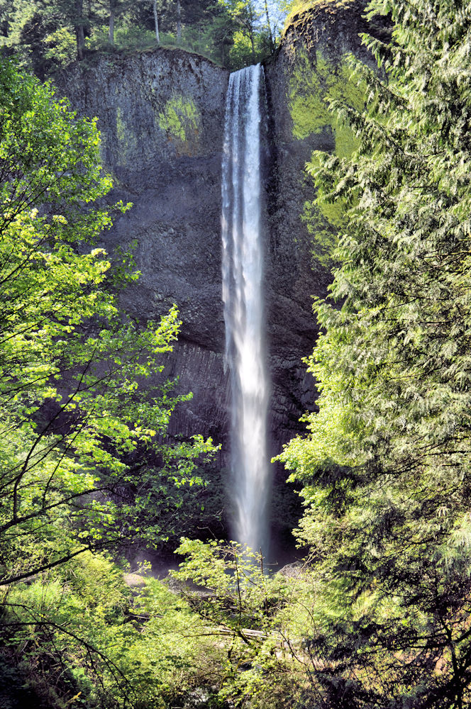 20100509_42a.jpg