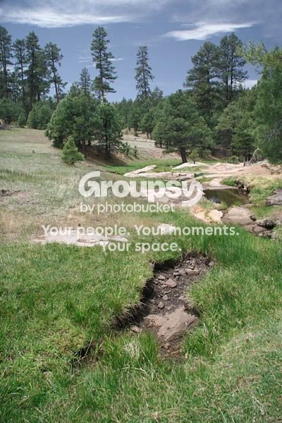 az_4609share.jpg