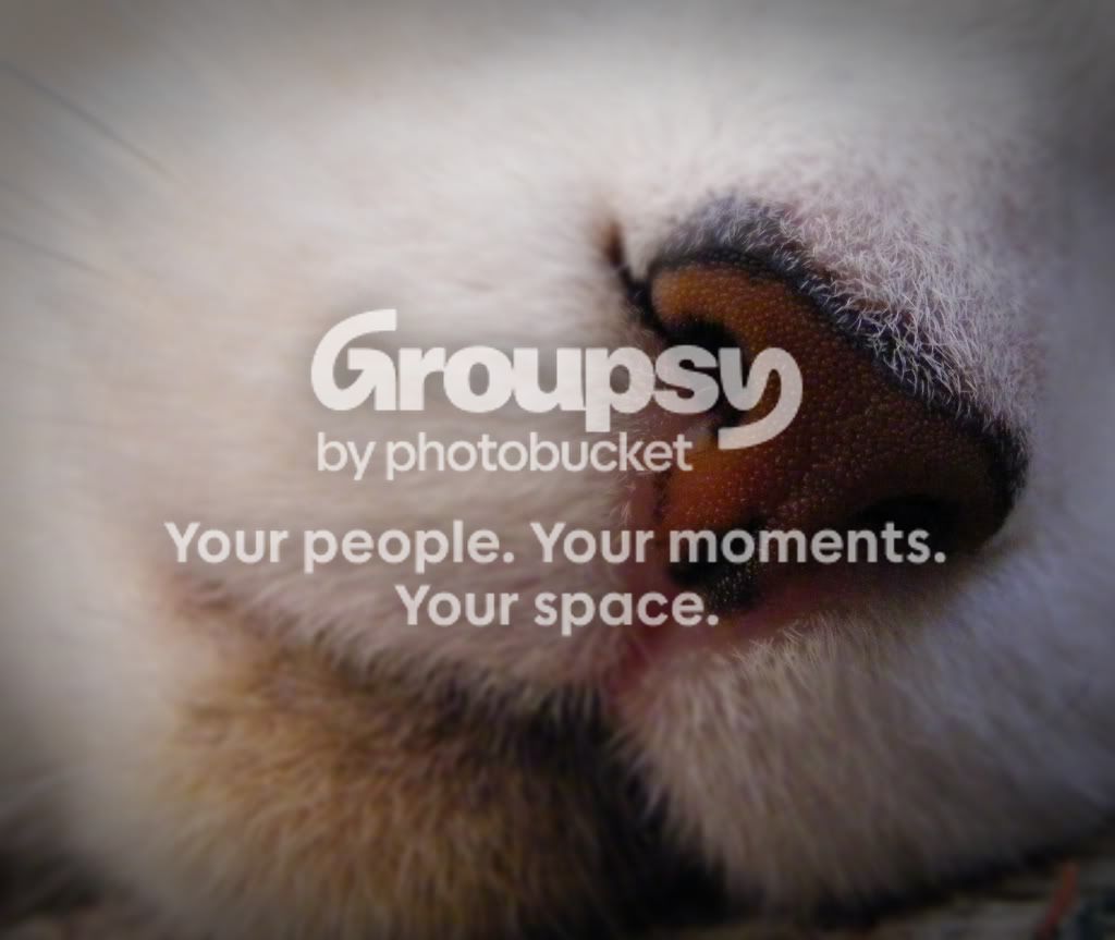 test004-crop.jpg