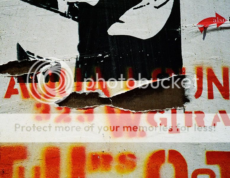 signfragment4.jpg