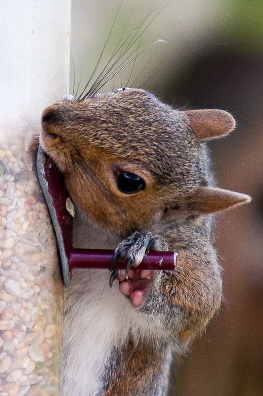 191010squizzle3.jpg