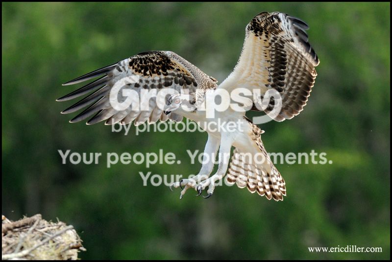 PIC_6560copy.jpg