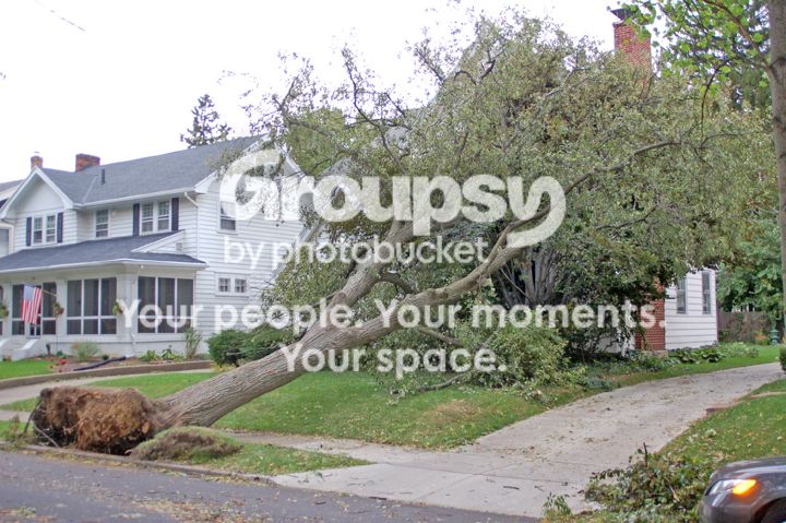 Oakwood006.jpg