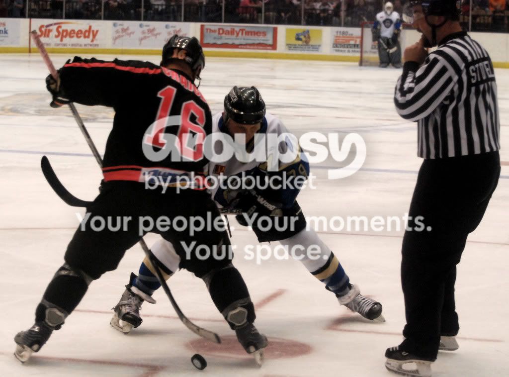 IceBears120.jpg
